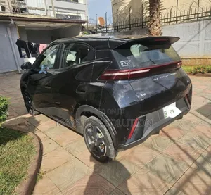 BYD Seagull 2024 Black