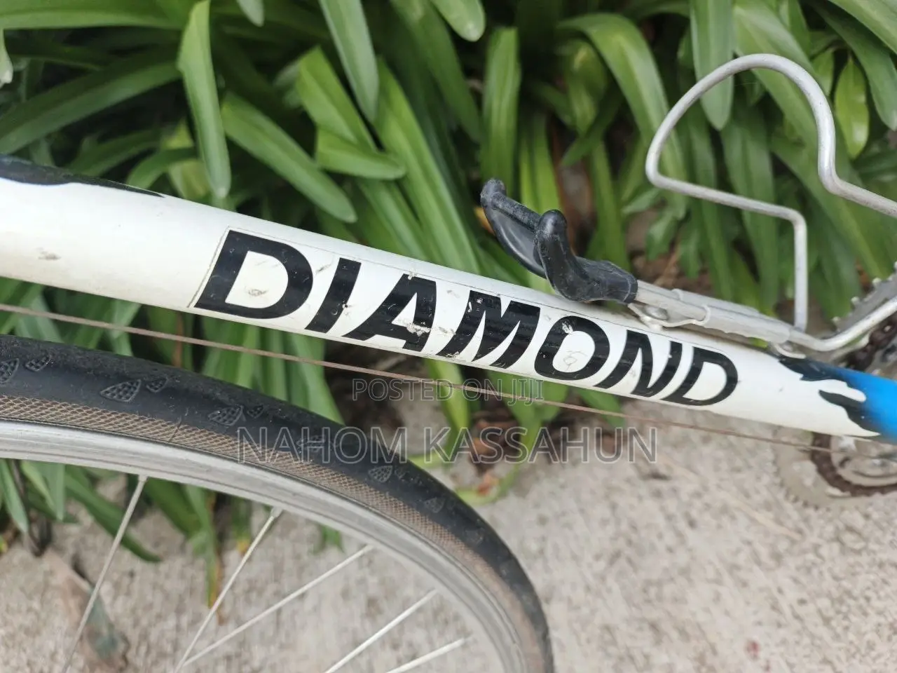 Diamond Vintage Course Bike