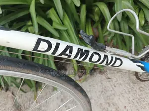 Diamond Vintage Course Bike