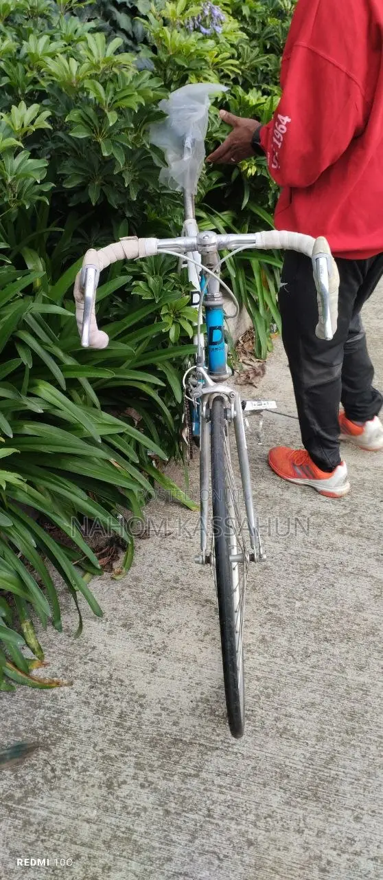 Diamond Vintage Course Bike