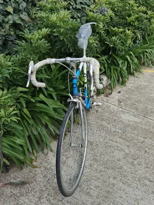 Diamond Vintage Course Bike