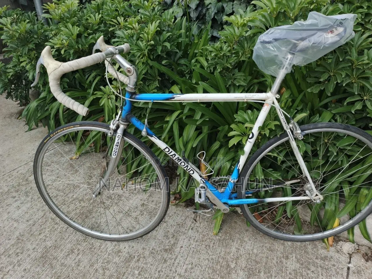 Diamond Vintage Course Bike