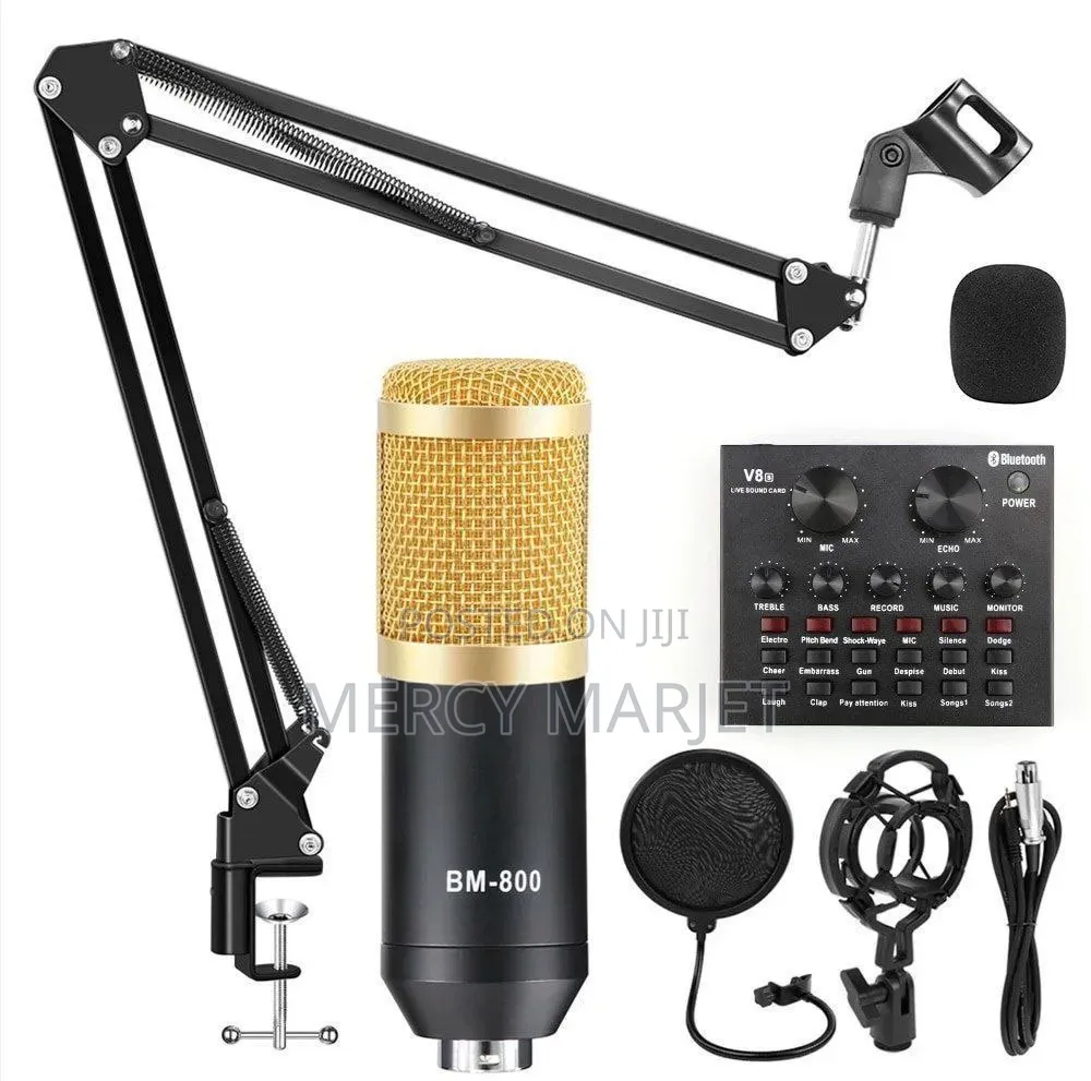 Microphone