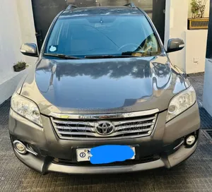 Toyota RAV4 2010 Gray