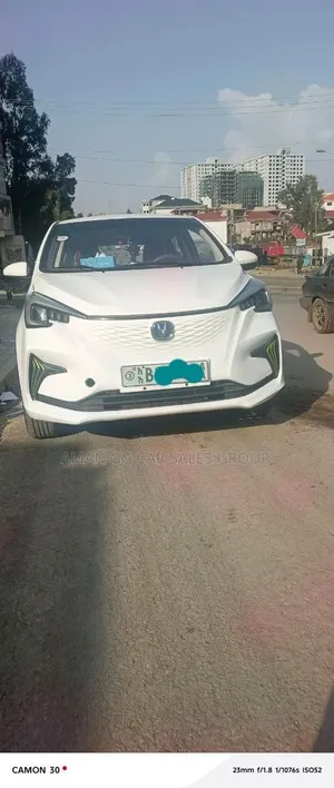 Changan BenBen E-Star 2023 Gray