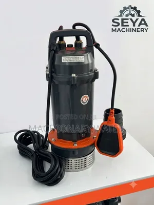 Leo Submersible Water Pump 1.5hp (የጉድጓድ ውሀ ማውጫ)