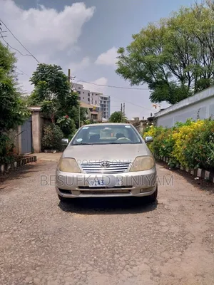 Toyota Corolla 2003 Pearl