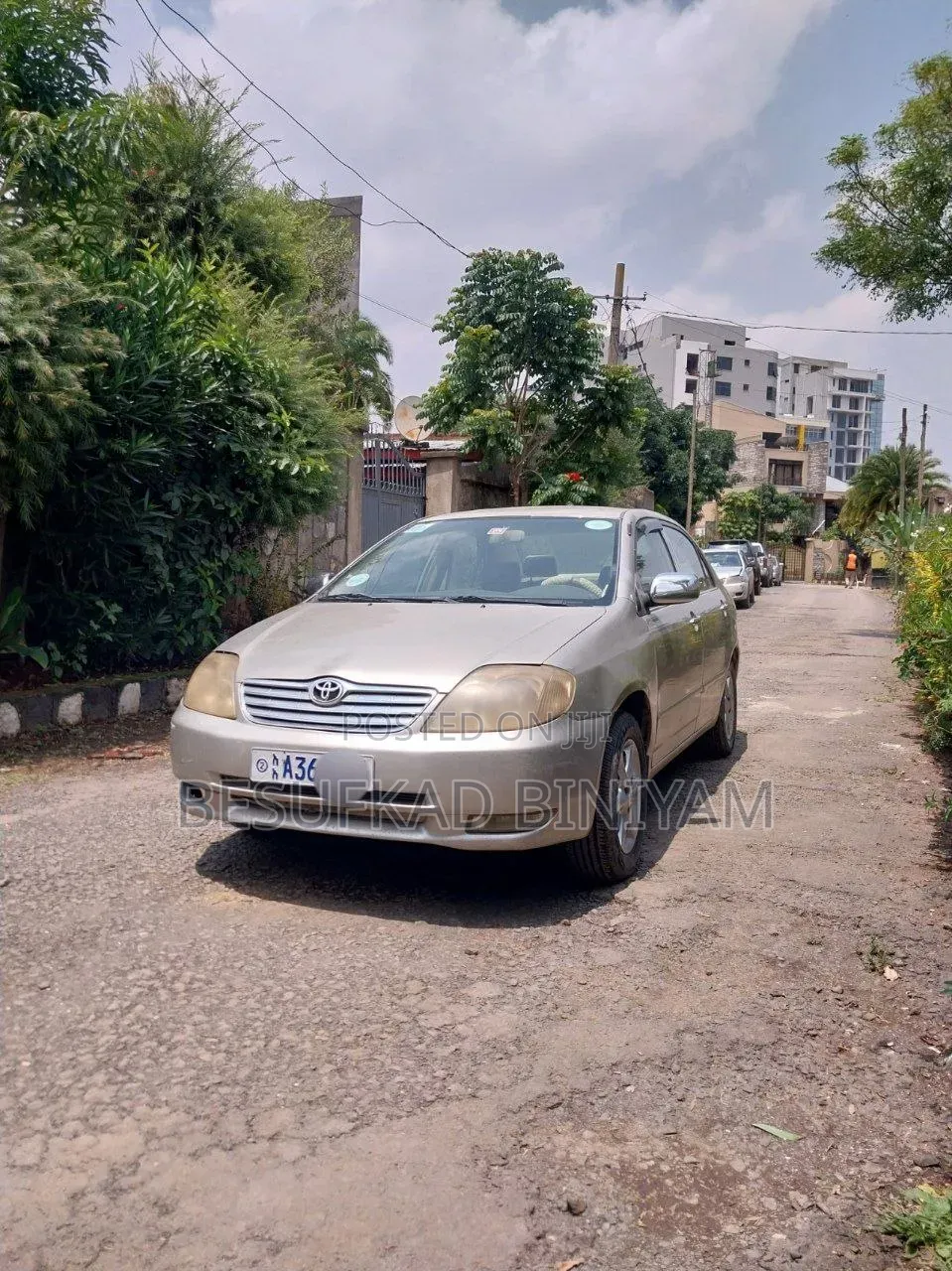 Toyota Corolla 2003 Pearl