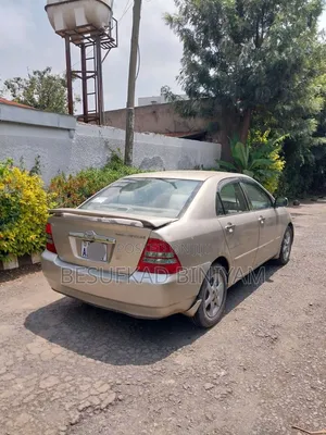 Toyota Corolla 2003 Pearl