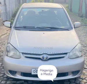 Toyota Platz 2005 Silver