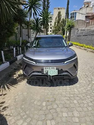 BYD Yuan Up 2025