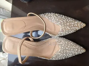 Zara Shoes