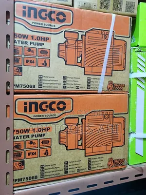 Ingco Water Pump