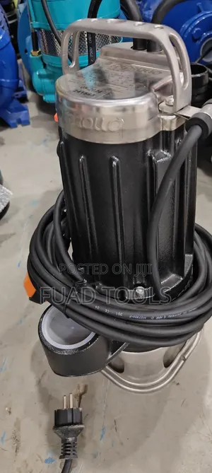 Pedrollo Water Pump