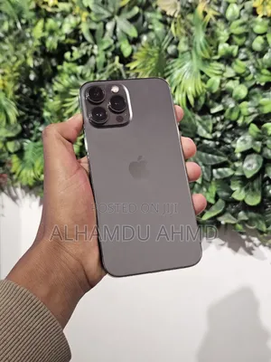 Apple iPhone 13 Pro Max 256 GB