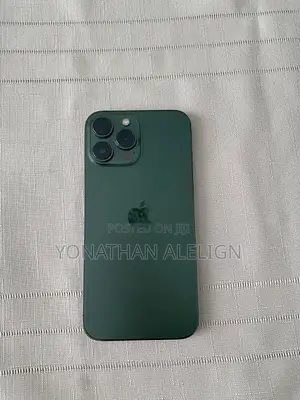 Apple iPhone 13 Pro 256 GB Green