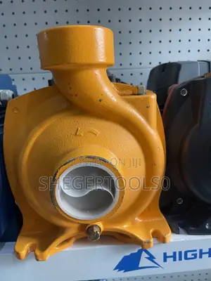 Ingco Water Pump