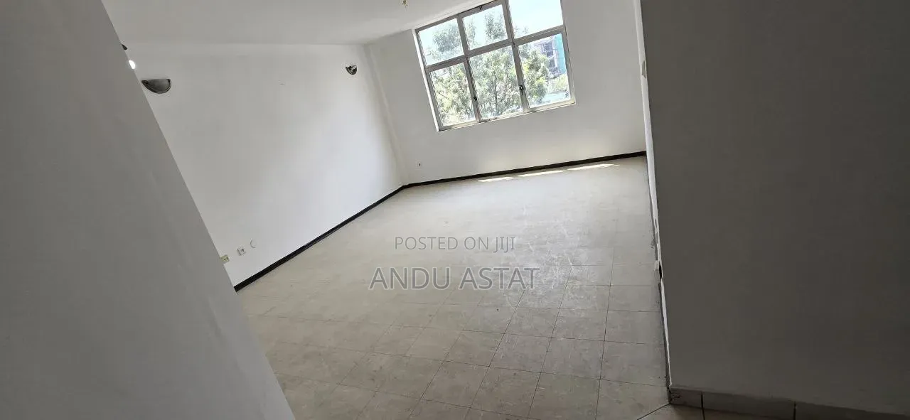 Furnished 3bdrm Apartment in Apartment, Yeka for sale