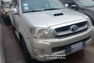 Toyota Hilux 2010 Beige