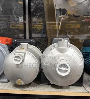 Leo Stainless Steel Pump