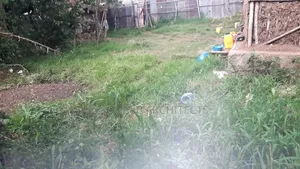 150m2 Land for Sell, Gofa Kera