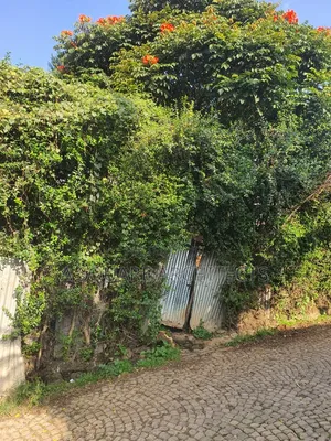 150m2 Land for Sell, Gofa Kera