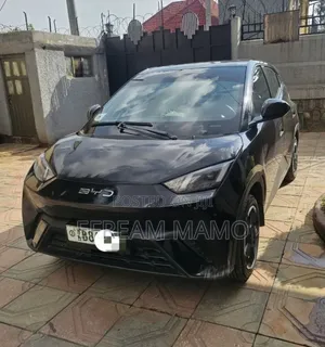 BYD Seagull 2024 Black
