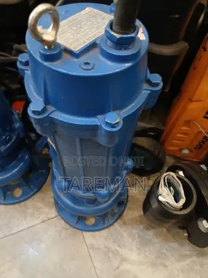 ,Blue Submersible Sewage Pump Is a 10hp