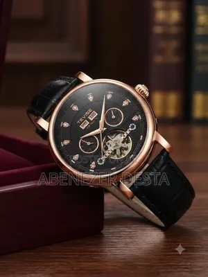 Tevise Men's Automatic Mechanical Skeleton Watc Black Dial and Leather