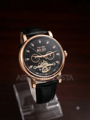 Tevise Men's Automatic Mechanical Skeleton Watc Black Dial and Leather