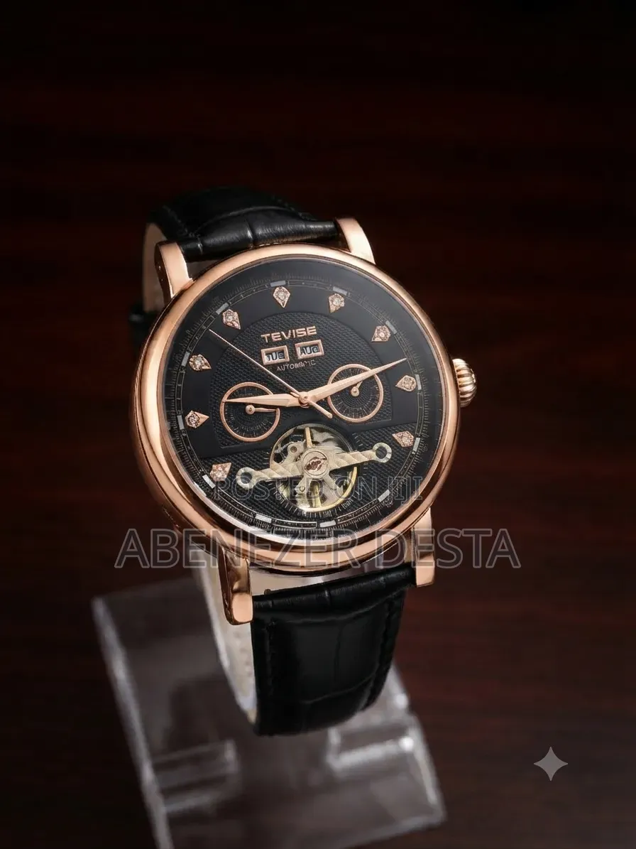 Tevise Men's Automatic Mechanical Skeleton Watc Black Dial and Leather