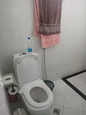 Furnished 2bdrm Apartment in Addisabab, Yeka for rent
