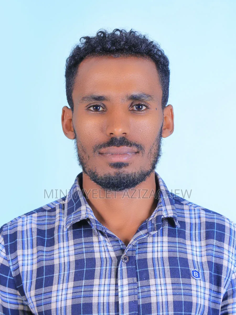 Site Engineer