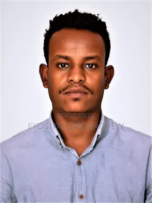 Site Engineer