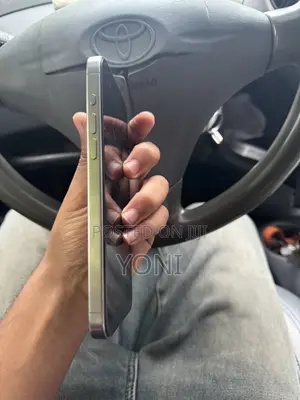 Apple iPhone 15 Pro Max 256 GB Silver