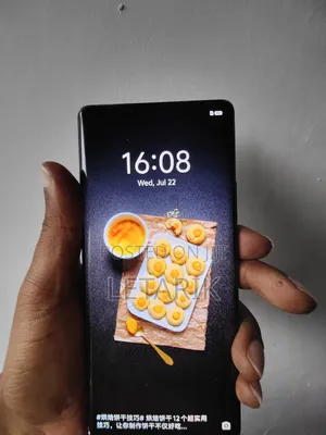 Vivo X70 Pro 256 GB Black