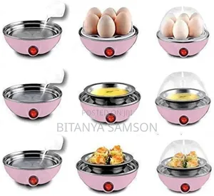 Electric Egg Cooker