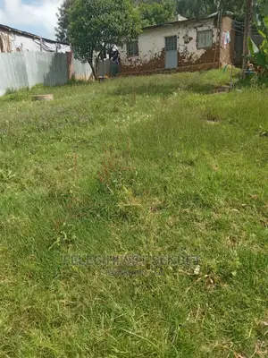 የሚሸጥ ለ2የሚቆረጥ ቦታ