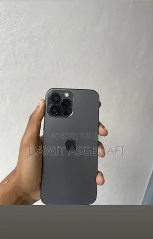 Apple iPhone 13 Pro Max 128 GB Gray