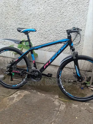 Phönix Aluminium Bike