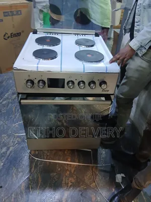 This Appliance Is a Freestanding Cooker, Specifically an Enzo Electr