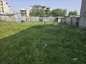 አስቸካይ የሚሸጥ ባታ
