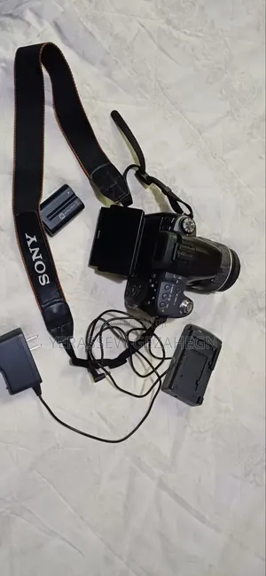 Sony Camera A550