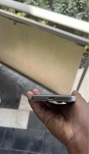 Apple iPhone 15 Pro Max 256 GB Silver