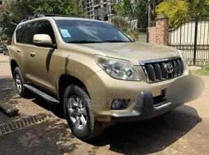 Toyota Land Cruiser 2010