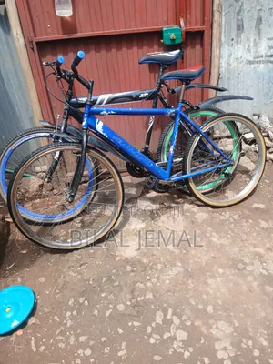 የልጆች እና የአዋቂ ሳይክሎች