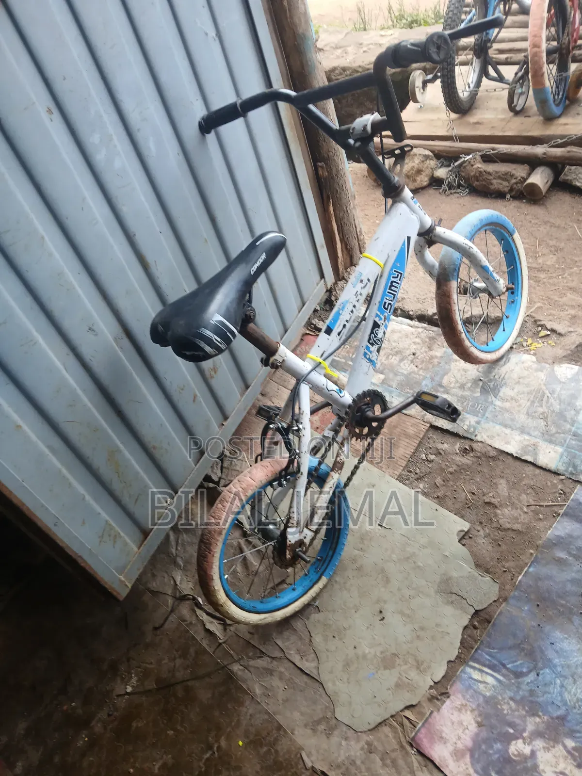 የልጆች እና የአዋቂ ሳይክሎች
