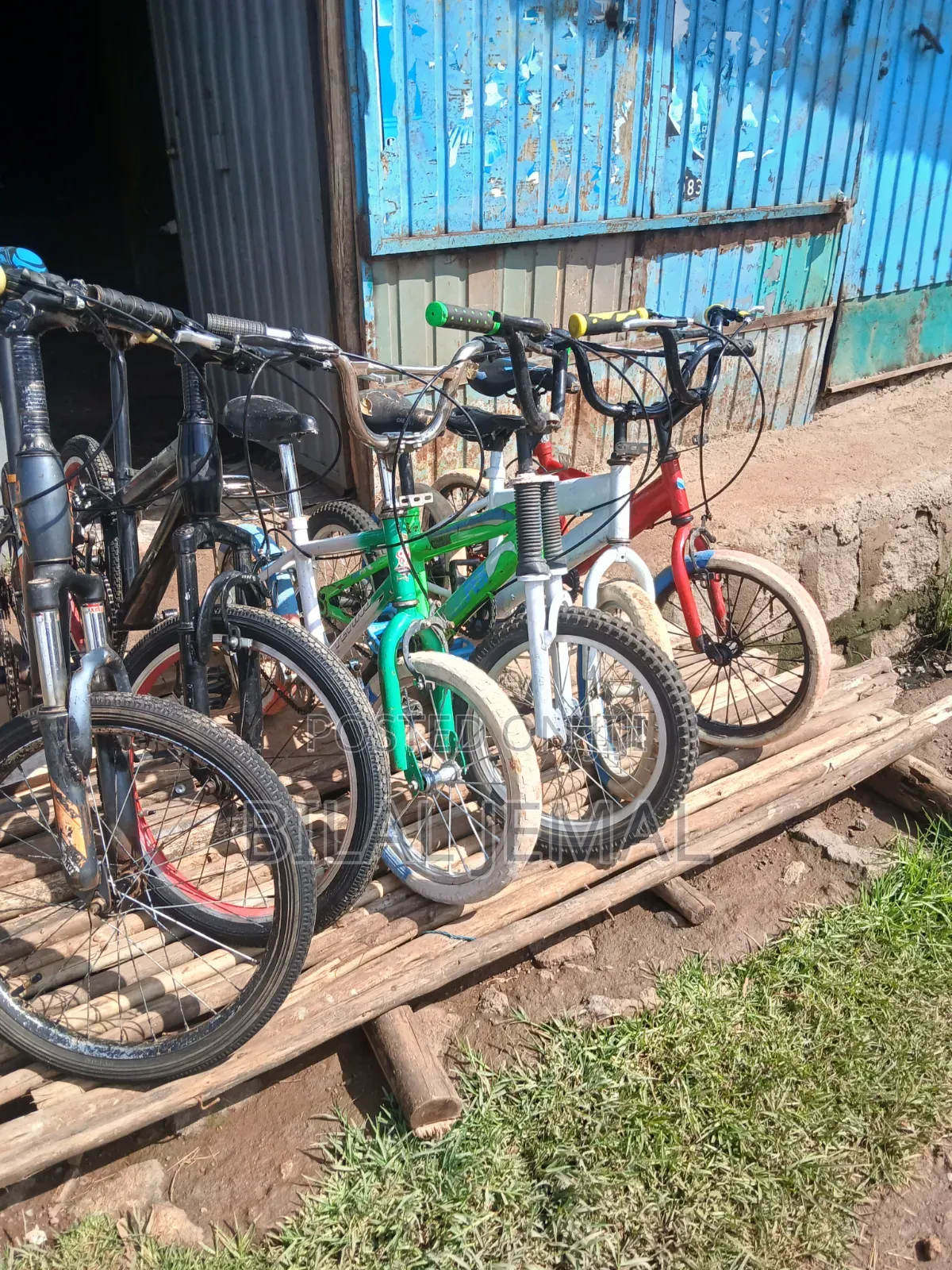 የልጆች እና የአዋቂ ሳይክሎች