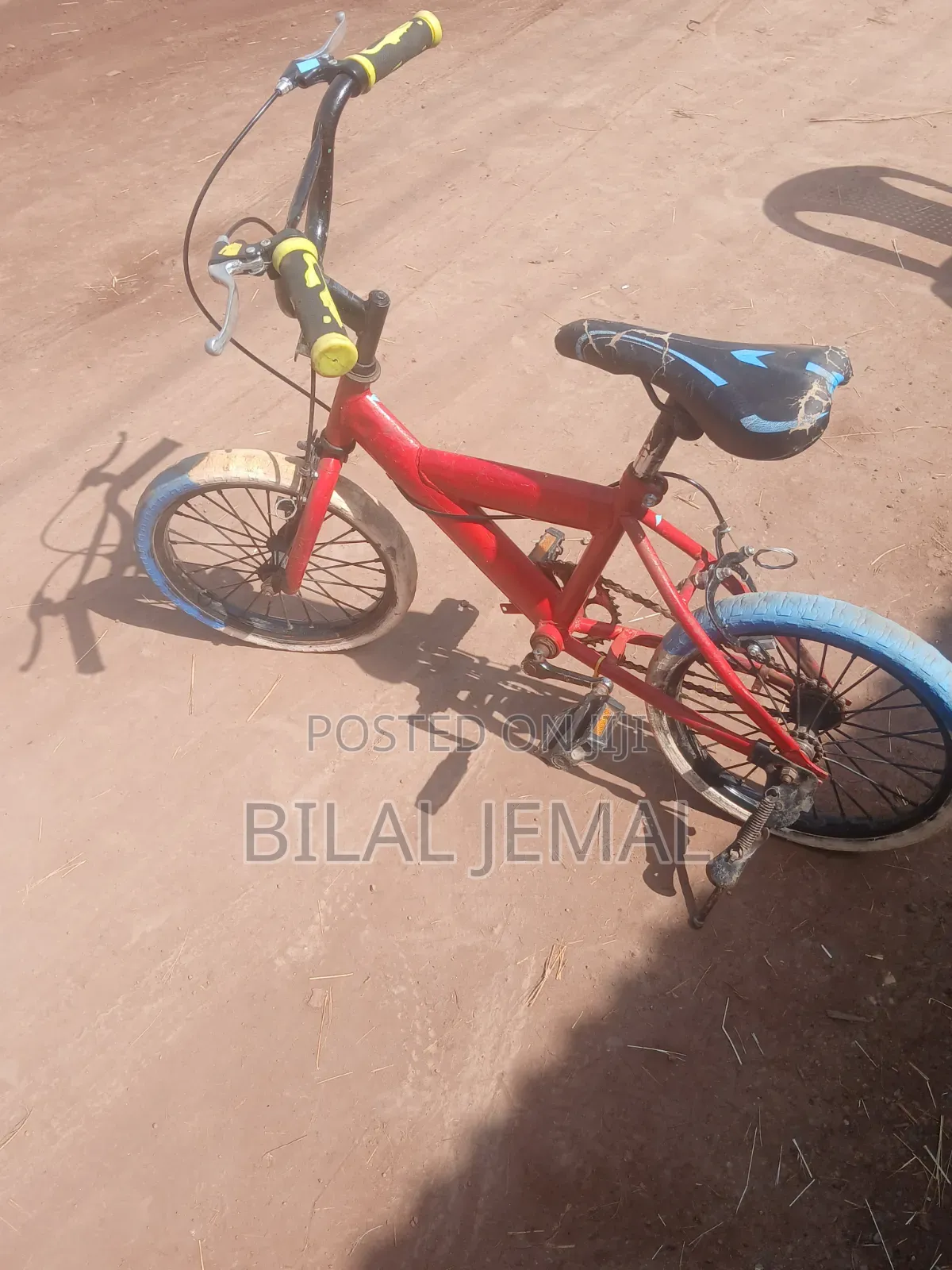 የልጆች እና የአዋቂ ሳይክሎች