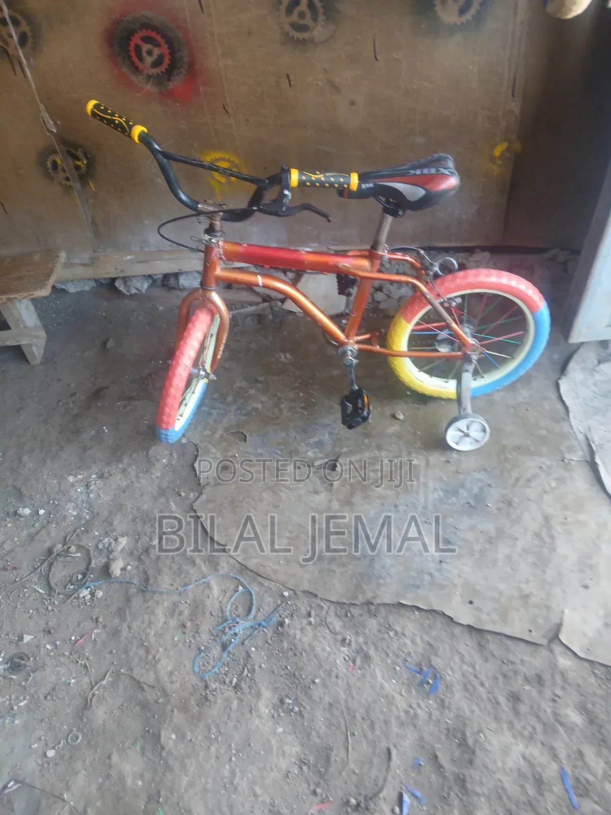 የልጆች እና የአዋቂ ሳይክሎች
